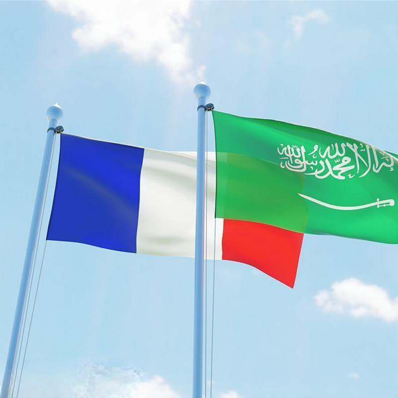 عربستان سعودی و فرانسه یادداشت تفاهم همکاری در زمینه انرژی امضا کردند
